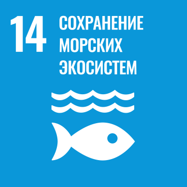 ЦУР 14: Сохранение морских экосистем